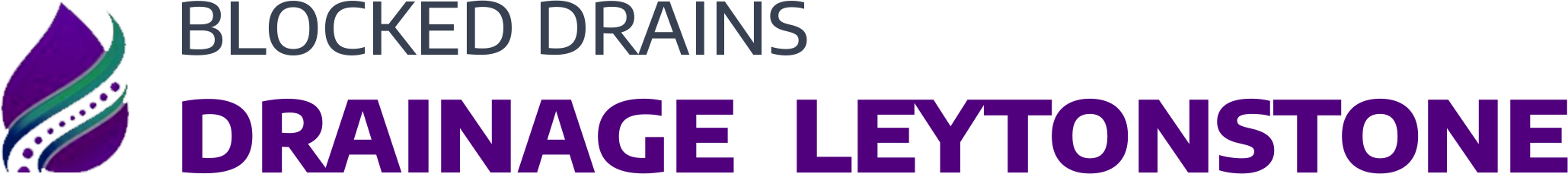 website logo